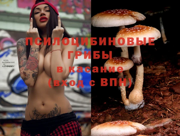 СК Строитель