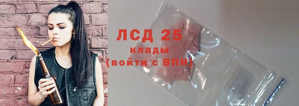 СК Строитель