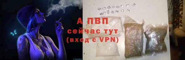 СК Строитель