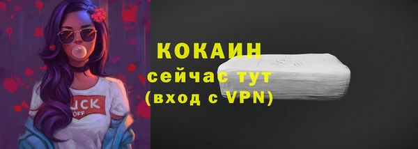 СК Строитель